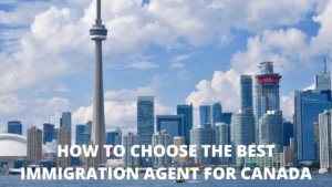 How to choose the best immigration agent for canada